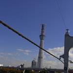 鮨 橋口 - この日の電波櫓（でんぱやぐら）百六十四丈三尺(497m)　