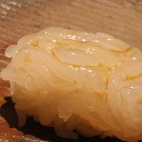 鮨 さいとう - 白エビ