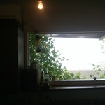 Lamp - 野ぶどう元気に育ってます。