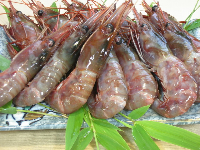 仁王寿司 東塩釜 | 塩竈の新鮮寿司が味わえる人気店