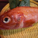 あぷちゃ - 高級魚。キンキ。脂が乗って最高に美味しい焼きも良し煮るもよし、美味い!!