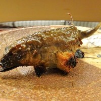 赤坂 菊乃井 - 21