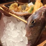 釣船茶屋ざうお - 釣果