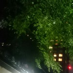 割烹 やました - 帰り道。