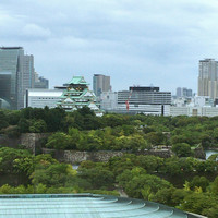SAKURA - 