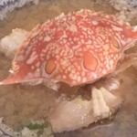 Bozu Japanese Restaurant - ワタリガニの味噌汁