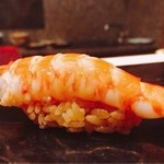 鮨 とかみ - 2016.9.  車海老