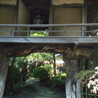山ばな平八茶屋 - 500年前からの入口