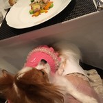 ル・シャモイーヴル - 