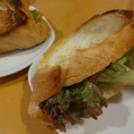 トラットリア ダ ジャコモ - ランチ　パニーニ