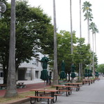 IKUSカフェテリア - 