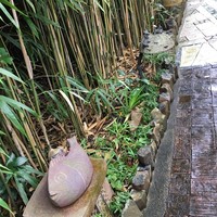 九つ井 本店 - 
