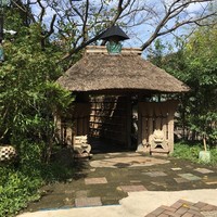 九つ井 本店 - 