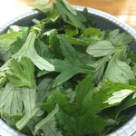玉家 - 