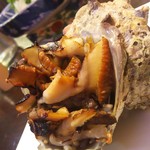 居酒屋zizi - さざえ