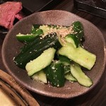 SATOブリアン - きゅーり（2016/9）