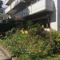 レストラン・モリエール - 