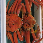 越前がに やまに水産 - male snow crab