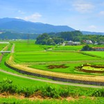 道の駅 中山盆地 - 田んぼアート