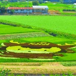 道の駅 中山盆地 - 田んぼアート