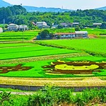 道の駅 中山盆地 - 田んぼアート