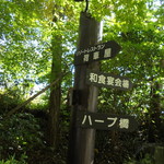 にぐるまやダイニング - 菜園