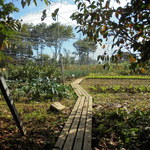 にぐるまやダイニング - 菜園