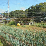 にぐるまやダイニング - 菜園