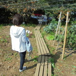 にぐるまやダイニング - 菜園