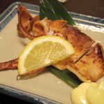 まいもんや かっぱ - 2016年9月　白いかの一夜干し