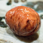 うを徳 - 2016.10 愛媛中山栗銀寄 渋皮煮