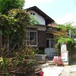 カフェ 坂の下 - ランチでシラスピザとグリーンカレーを食べました。