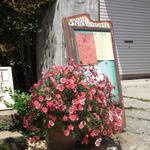 カフェ 坂の下 - ランチでシラスピザとグリーンカレーを食べました。