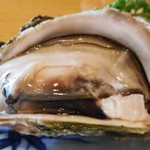 57166668 - 岩かき