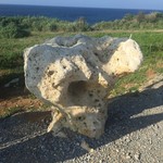 アロアロ - てぃーぬ浜ハートのエンジェル入口のサンゴ？