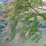 松籟庵 - お店まで