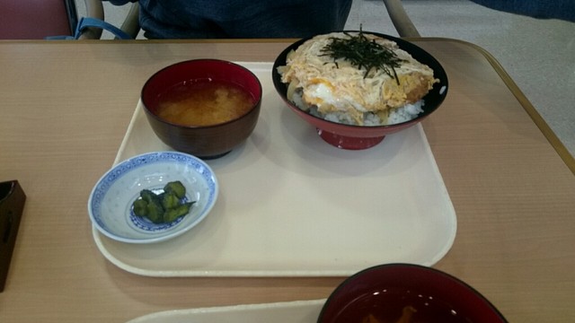 玉ちゃん食堂 - 泉郷（ラーメン）の写真