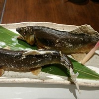 柳家錦 - 