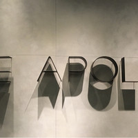 THE APOLLO - LOGO