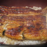 うなぎ屋 廣川 - うな重