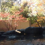 おたる宏楽園 - 室内露天風呂に入って、のんびり外を眺める。