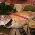 せきのや - のどぐろ