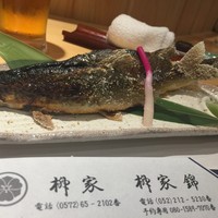 柳家錦 - 