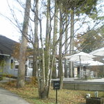 ナス・ショウゾウ カフェ - 