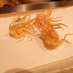 天ぷら 蕎楽亭 - (2016/9)