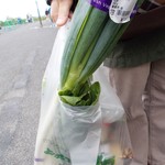 よってけポポラ - 買いました