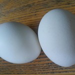 チャタンコーヒー カフェストリート - 