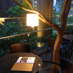 東京ビアホール&ビアテラス14 - 緑とライトが素敵なテラス席