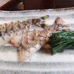 米倉 - 車海老アップ