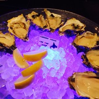 MAIMON GINZA - 